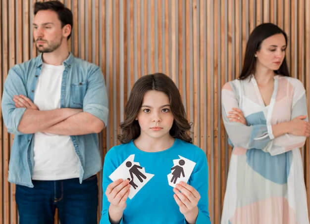 Creating Sustainable Agreements Through Guided Divorce Negotiations Somerset